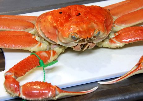 食欲台所　カニ